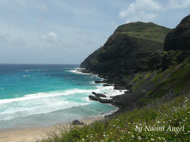 God of Hawaii vol.5 - ハワイの神様 vol.5 -_f0186787_13491429.jpg