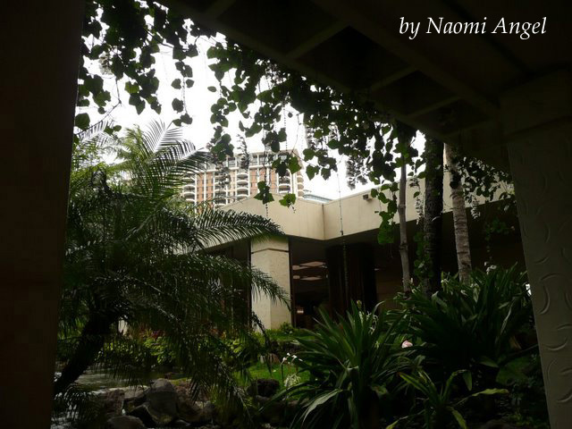 God of Hawaii vol.3 - ハワイの神様 vol.3 -_f0186787_135223.jpg
