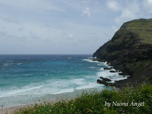 God of Hawaii vol.5 - ハワイの神様 vol.5 -_f0186787_13584888.jpg