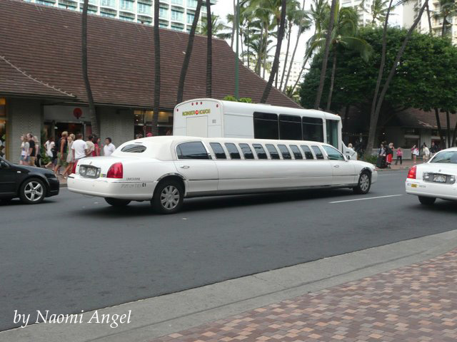 God of Hawaii vol.6 - ハワイの神様 vol.6 -_f0186787_14225547.jpg