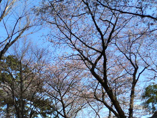 f0018790_935928.jpg