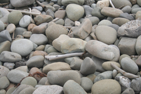 c0033994_8284850.jpg