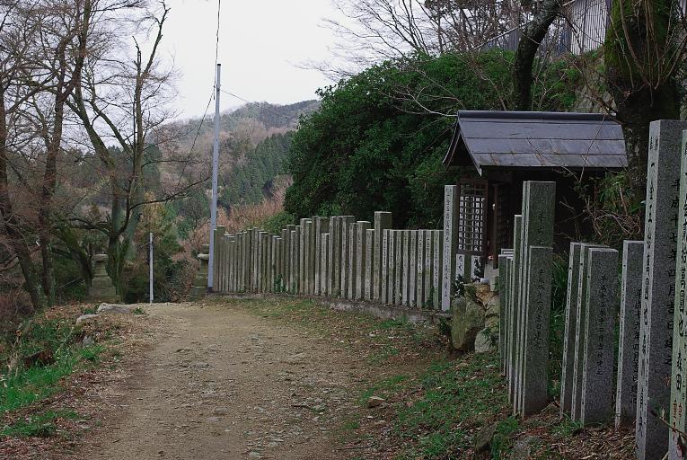 d0069495_2329652.jpg