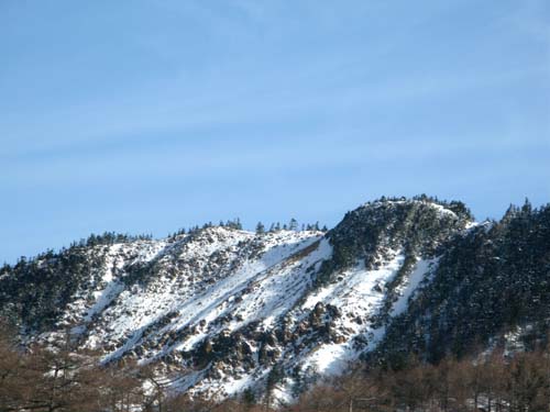 e0120896_734237.jpg