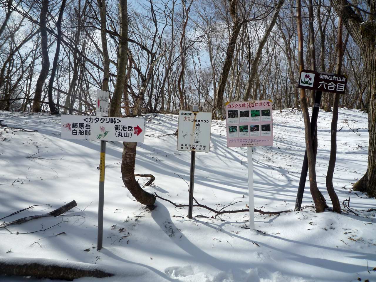 まだ雪山－御池岳・鈴ヶ岳・茶野_e0110500_11392975.jpg