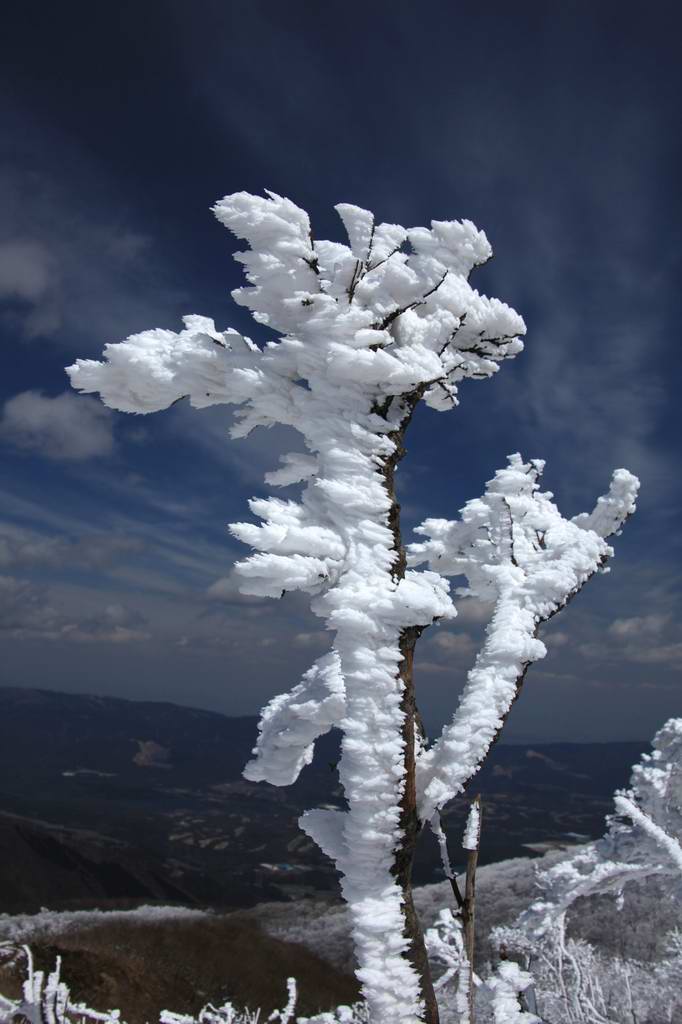 まだ雪山－御池岳・鈴ヶ岳・茶野_e0110500_13561937.jpg