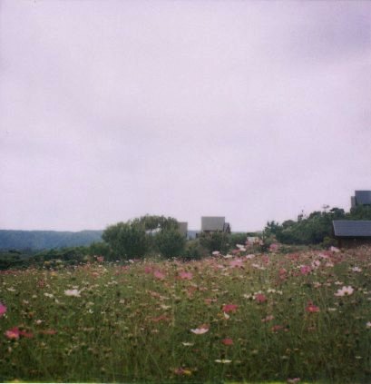 f0177305_1917892.jpg