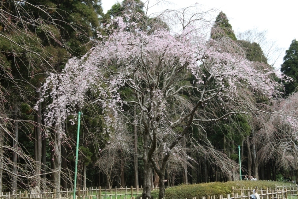 c0041207_2333083.jpg