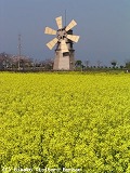 c0152507_2472264.jpg