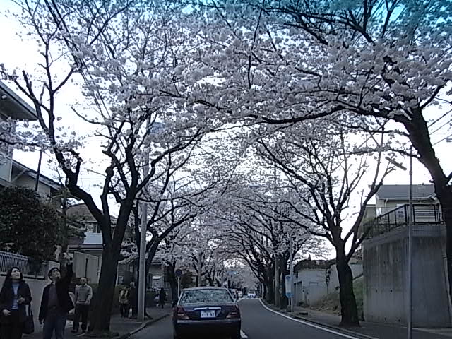 c0179308_20103285.jpg