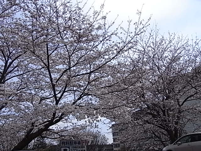 c0179308_2013324.jpg