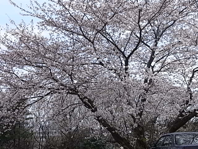 c0179308_2014930.jpg