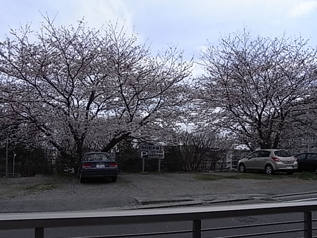 c0179308_201536.jpg