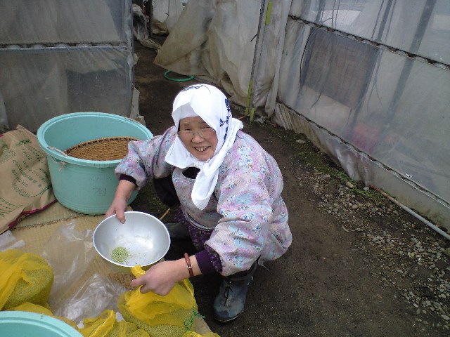 モミをうるかすこと_d0099708_20233088.jpg