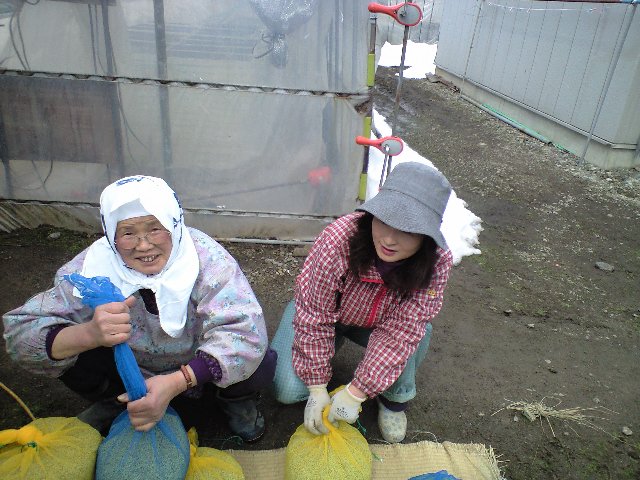 モミをうるかすこと_d0099708_20243721.jpg