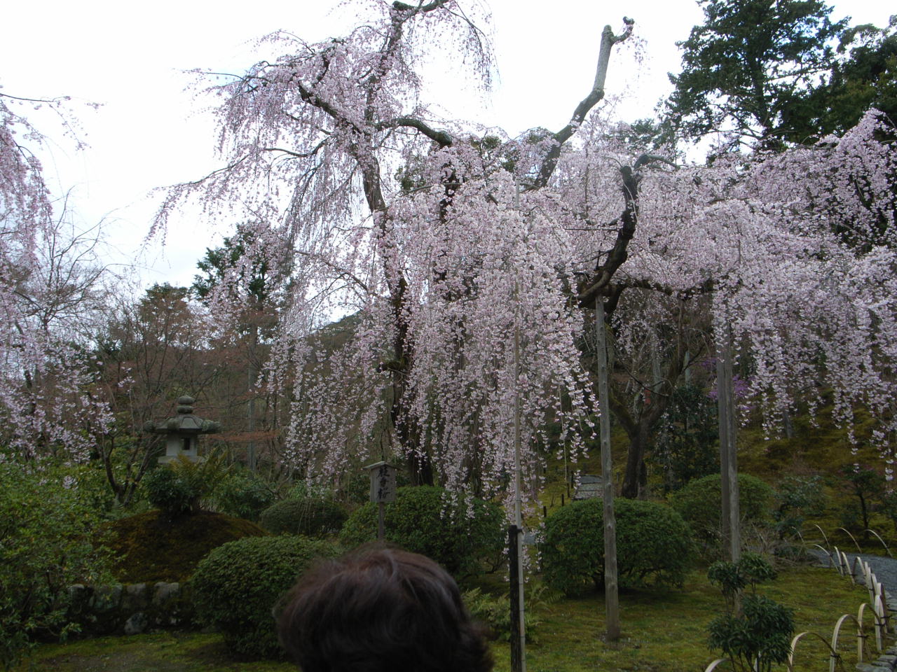 京都~嵐山編~_f0126508_11411113.jpg