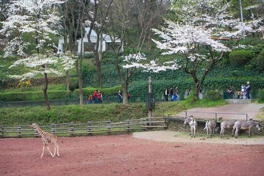 f0167208_0243914.jpg