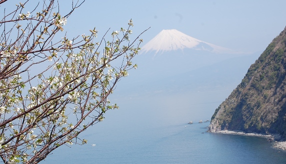 c0097309_1114344.jpg