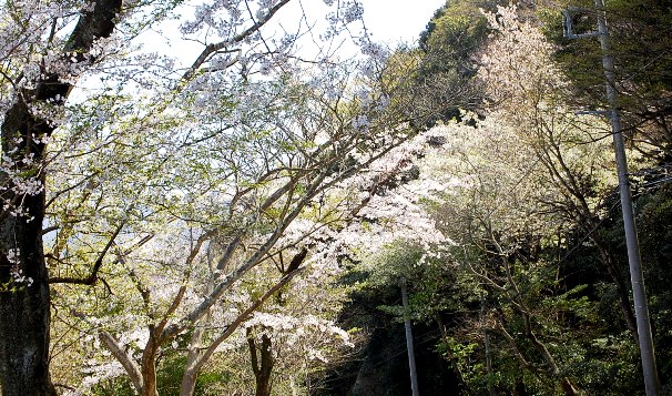 c0097309_1122552.jpg