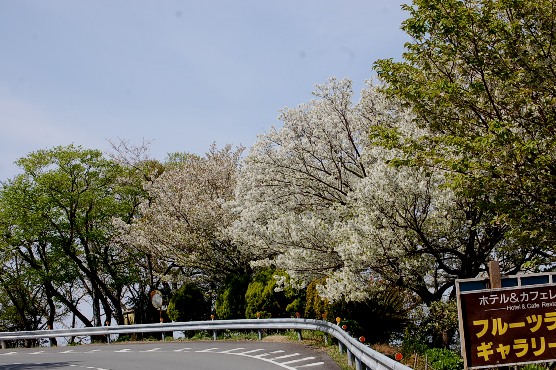 c0097309_11244569.jpg