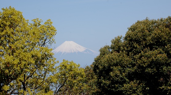 c0097309_11284171.jpg