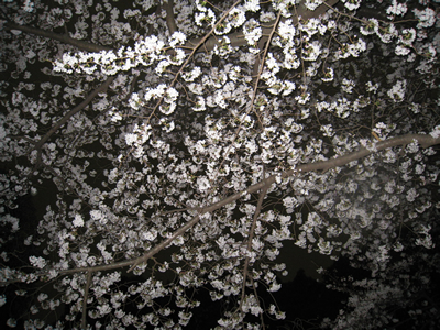 f0033510_22144233.jpg