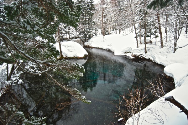 c0153411_22264663.jpg