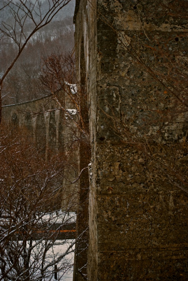 c0153411_227356.jpg
