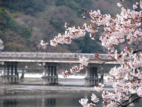 嵐山　渡月橋_e0048413_226114.jpg