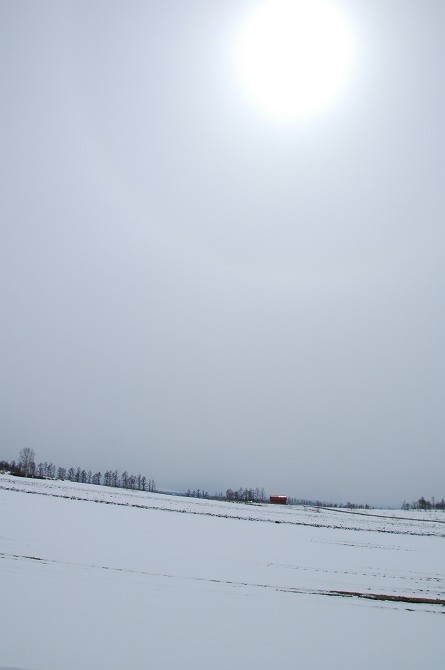 b0152416_21372877.jpg