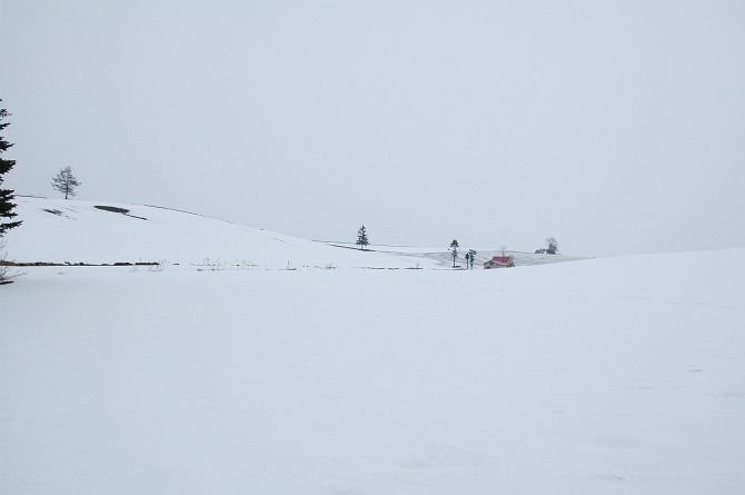 b0152416_21422969.jpg