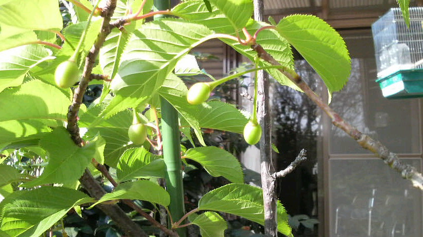 c0138720_12205777.jpg
