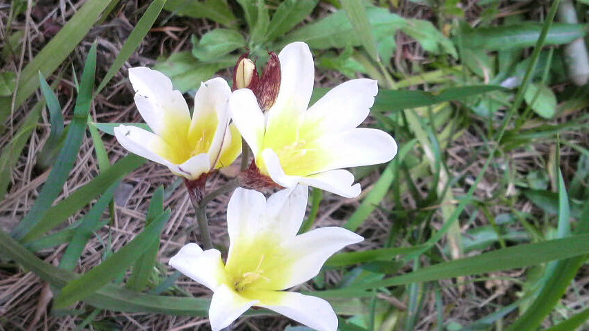 c0138720_12205796.jpg