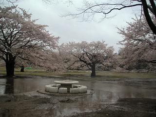 c0193425_22513182.jpg