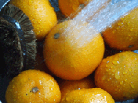 c0188928_1372591.gif