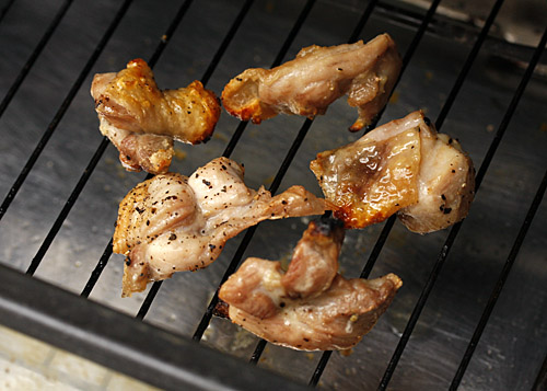 けむらん亭で鶏肉を焼いて食べる_f0134939_13552670.jpg