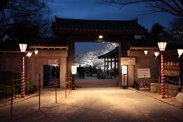 大阪城　桜_e0157642_2342437.jpg