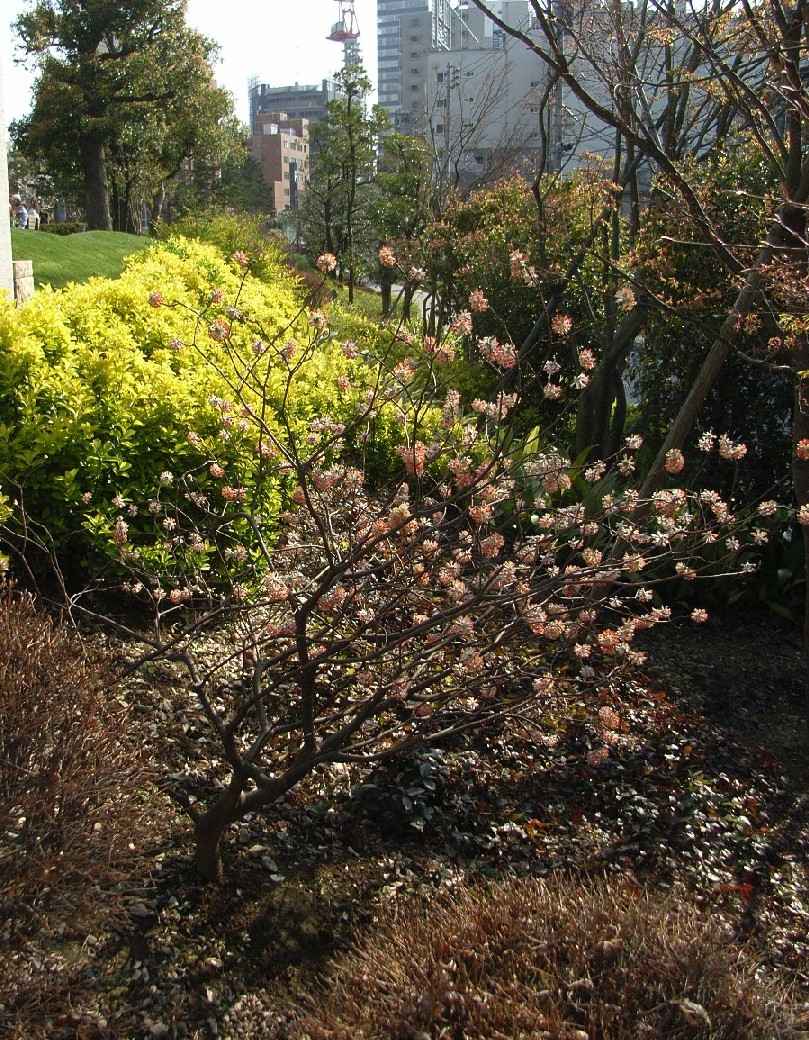 b0169343_134159.jpg