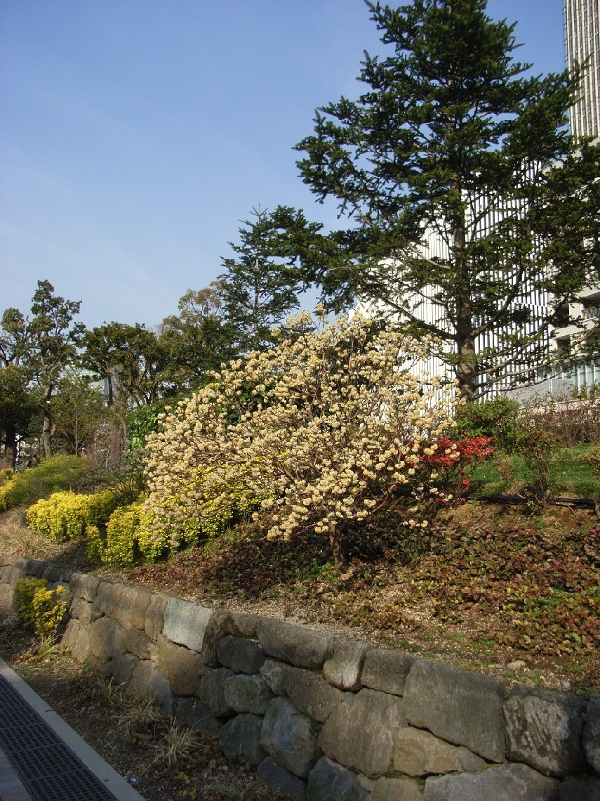 b0169343_22423442.jpg