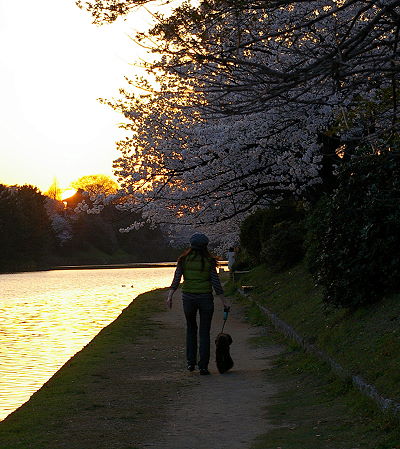 d0026745_20282014.jpg