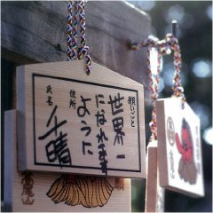 チェックしましたか?_d0107546_4124616.jpg