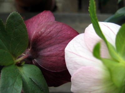c0147952_16471847.jpg