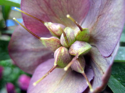 c0147952_174453.jpg