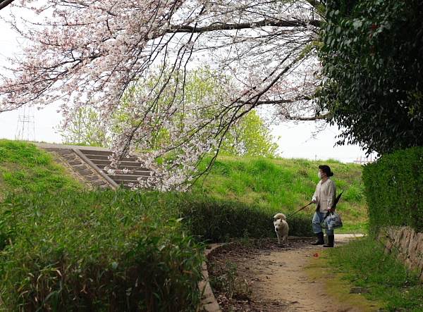 尼崎農業公園_a0036553_233932100.jpg