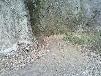 a0096557_19184928.jpg