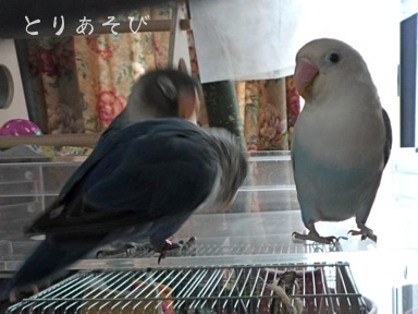 お説教_e0147757_2138492.jpg