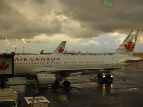 e0176457_6561646.jpg