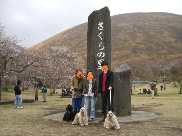 d0111558_0192356.jpg