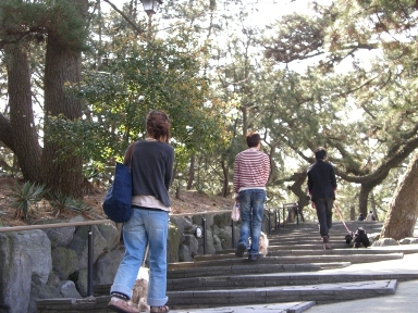d0111558_03350.jpg
