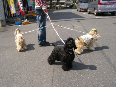 d0111558_035998.jpg